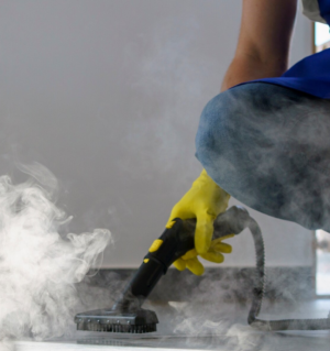 Apartment Steam Cleaning