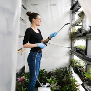 Exterior Cleaning in dubai