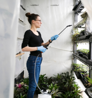 Exterior Cleaning in dubai