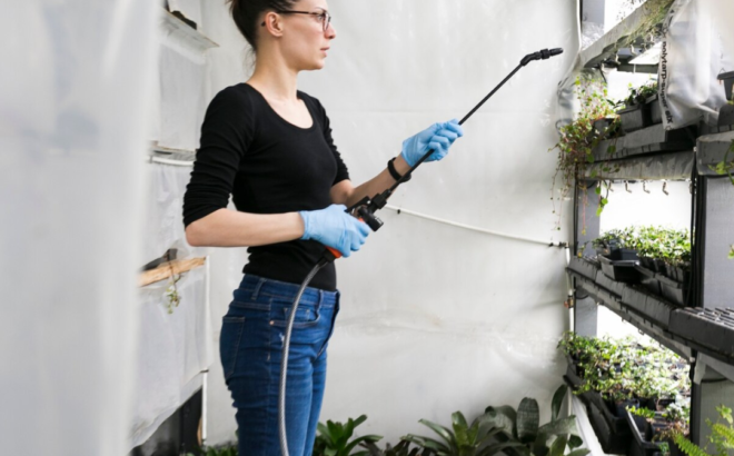 Exterior Cleaning in dubai