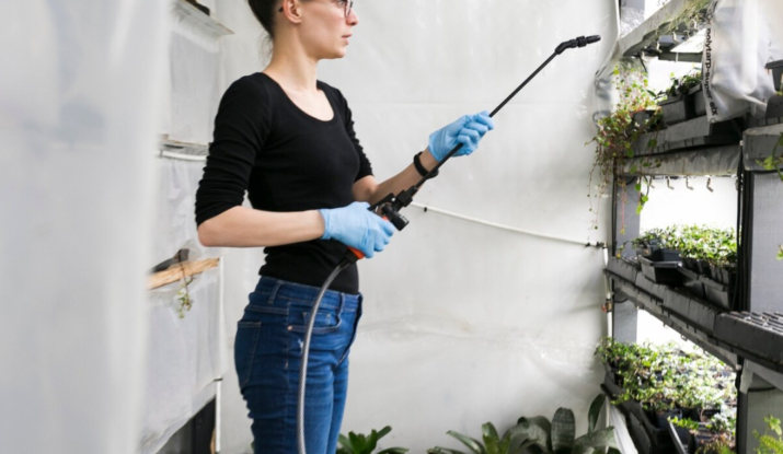 Exterior Cleaning in dubai